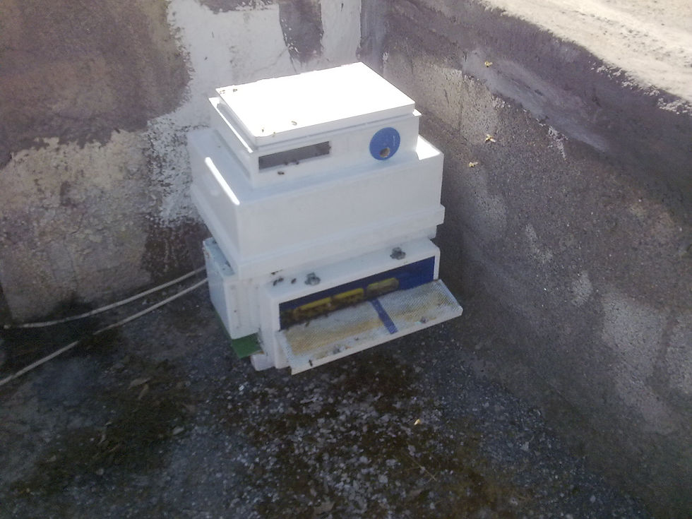 300420141183.jpg