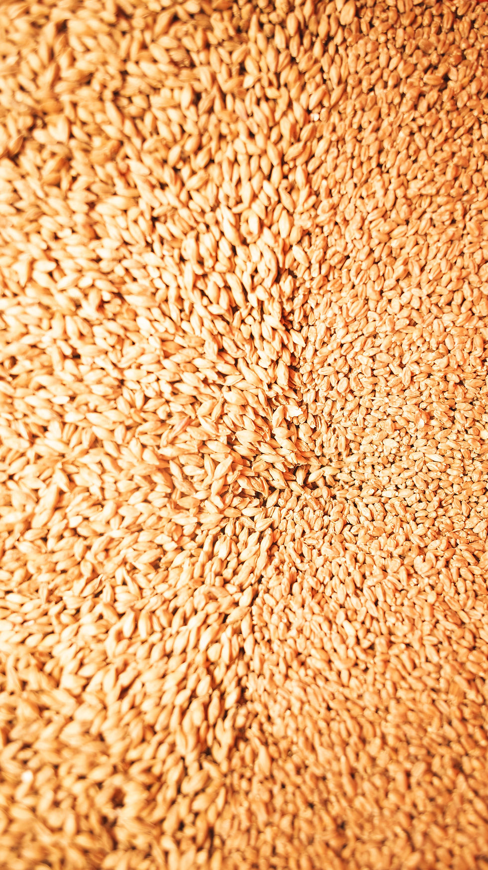 ree