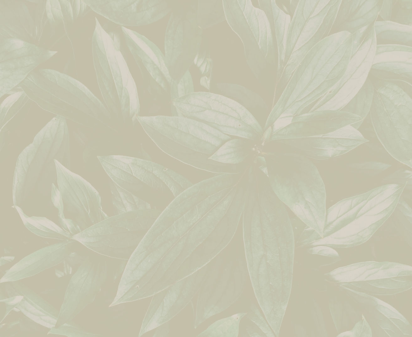 G. HEALING - Feuillage beige.jpg