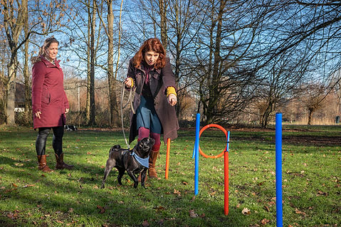 Coaching met hond