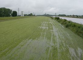 Rhein Hochwasser