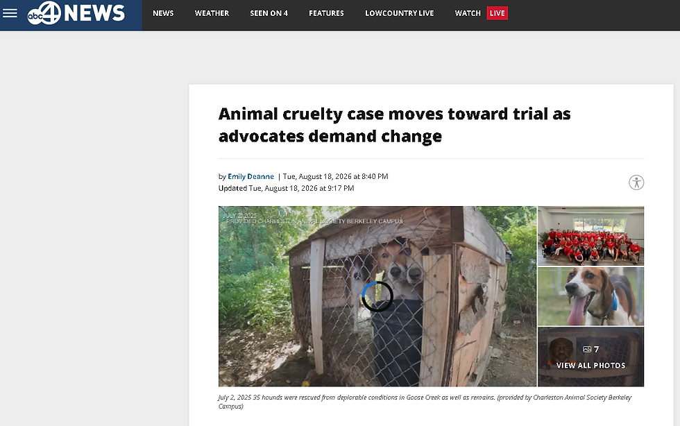 Eye-level view of a community gathering focused on animal welfare