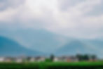 treesan-0JaRZNjQ_dE-unsplash.jpg