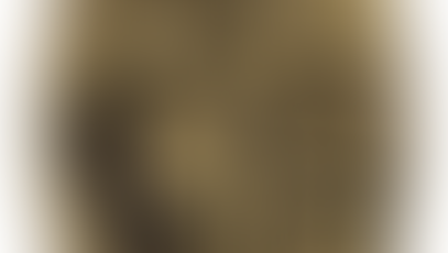 "King of the Beijing Drum-song" Liu Baoquan