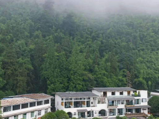 天时社长川渝行|海外华媒点赞重庆缙云山民宿产业转型之路