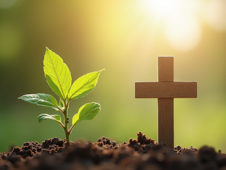 Creating Wealth through Biblical Teachings: A Journey to Faithful Wealth Building