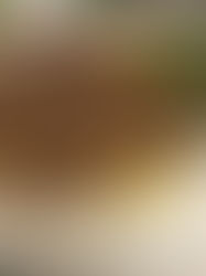 Quick and Easy Beef and Gravy