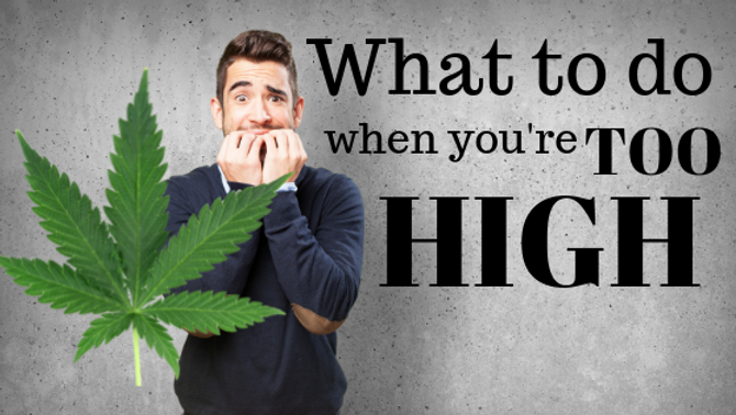 What To Do If I Get Too High From Medical Marijuana