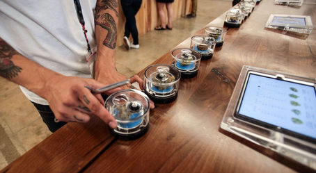 3 Unique Jobs in the Cannabis Industry Today