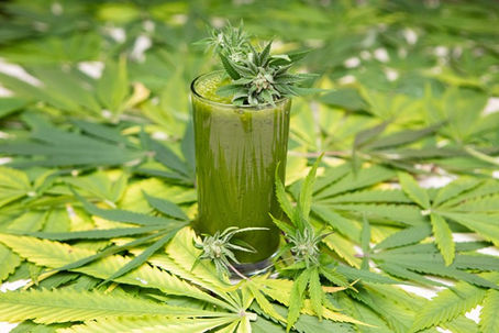 Zero Waste Cannabis: How to Use the Entire Plant