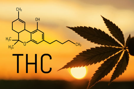 We’re Better Together; CBD and THC Team Up