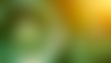 A Healthy Egg; This is Your Brain on CBD