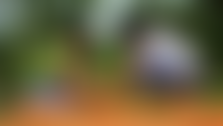 Embracing Sustainable Travel: A Comprehensive Guide to Reduce Your Carbon Footprint