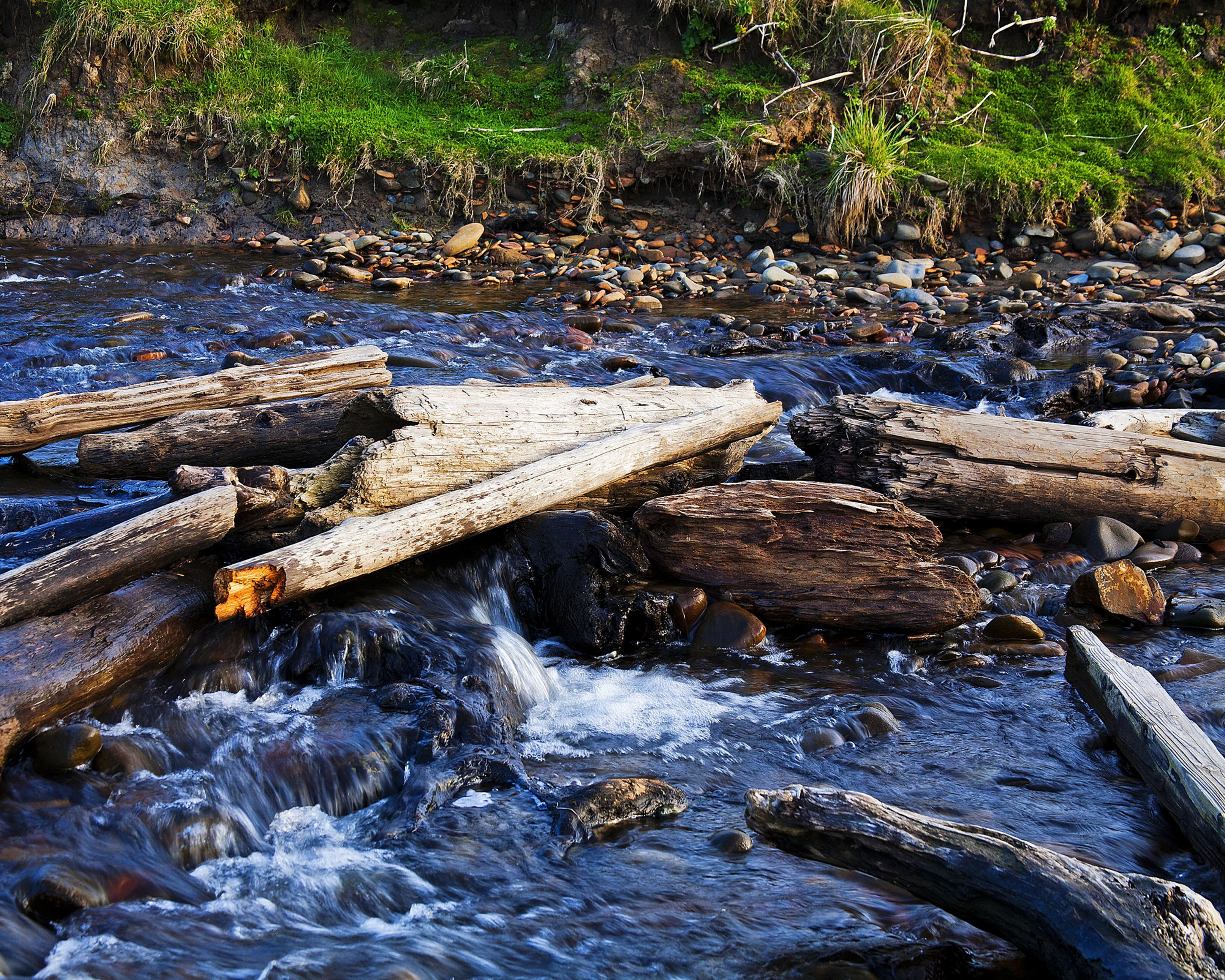 Driftwood Bridge, Oregon Coast