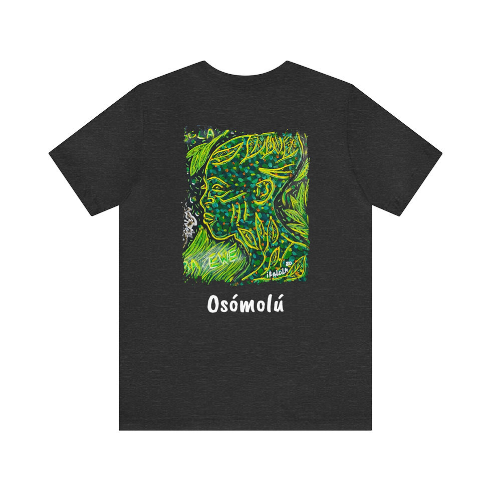 Thumbnail: Unisex Jersey Short Sleeve Osanyin Original Dark Colors