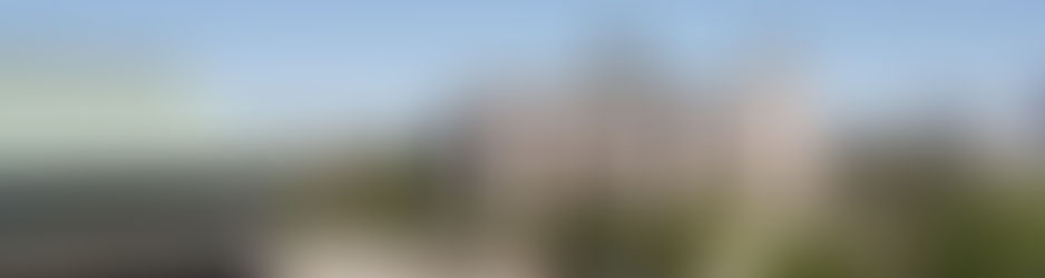 WHAT IS RISSHO KOSEI-KAI?