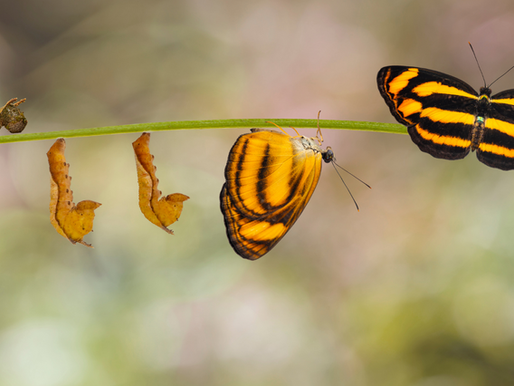 HAVING THE COURAGE TO GIVE THINGS UP