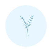 8.png