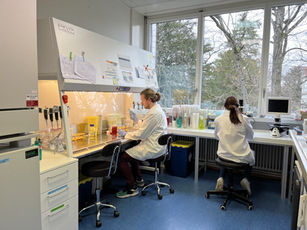 Cell culture lab.jpeg
