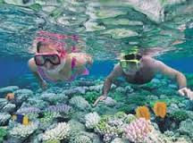 snorkeling!