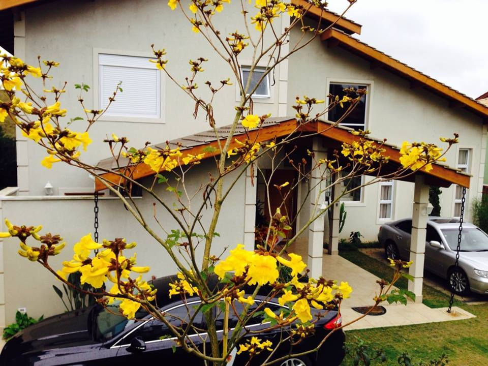 foto - externa