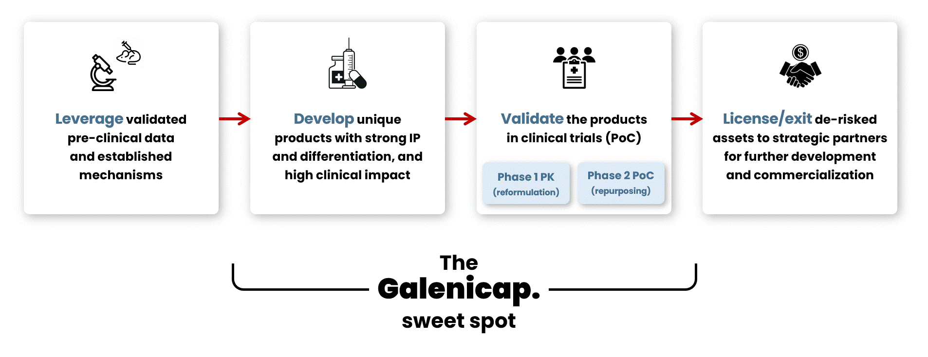 Galenicap approach.gif