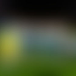 Atkinson, Heald And Ramsden Take To Poland