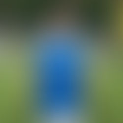 ‘It’s A Once In A Lifetime Opportunity’ Says Portsmouth Winger Che Gray