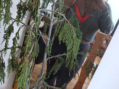 rooted: my Herbal Medicine journey