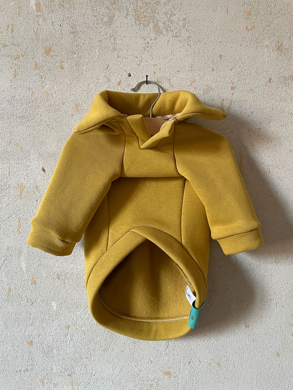 Ettore, polo per cani in felpa garzata color senape brand Zigzagoo