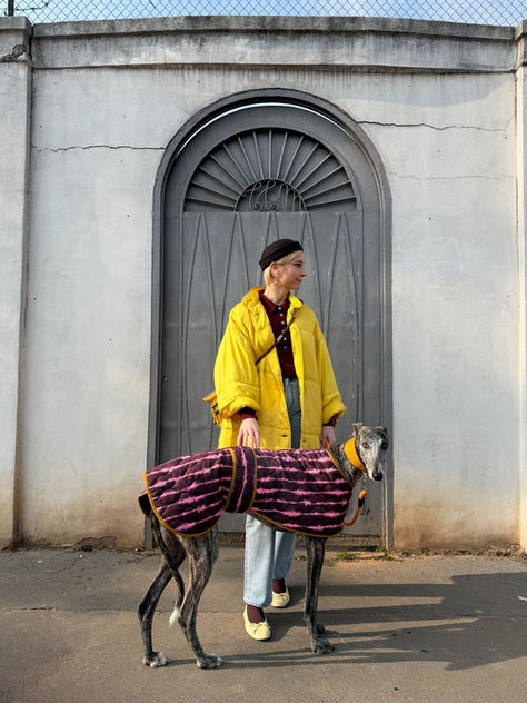 Galgo spagnolo che indossa il cappottino reversibile lato stampato Zigzagoo due in uno