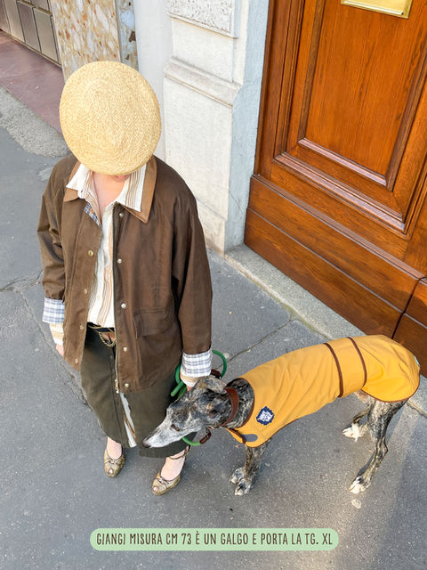 Persona con cane Levriero Galgo in raincoat tecnico giallo, tg. XL.