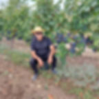 raberi marani wine qvevri
