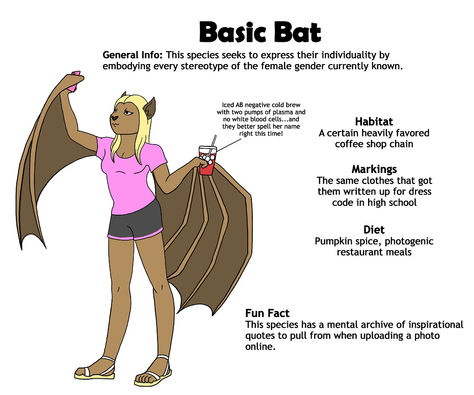 bat - low res.jpg