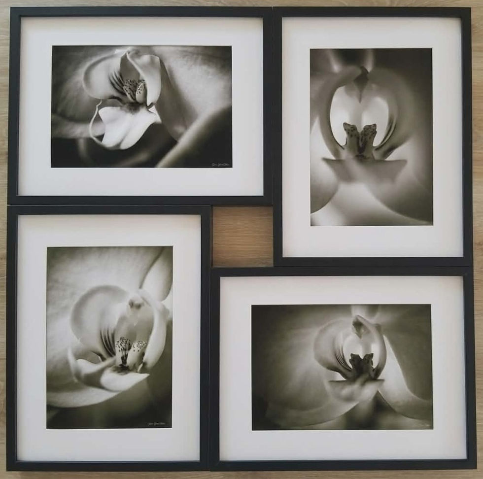 Photographie noir et blanc macro orchidée, détail pétale velours, décoration murale minimaliste, cadeau Fête des Mères