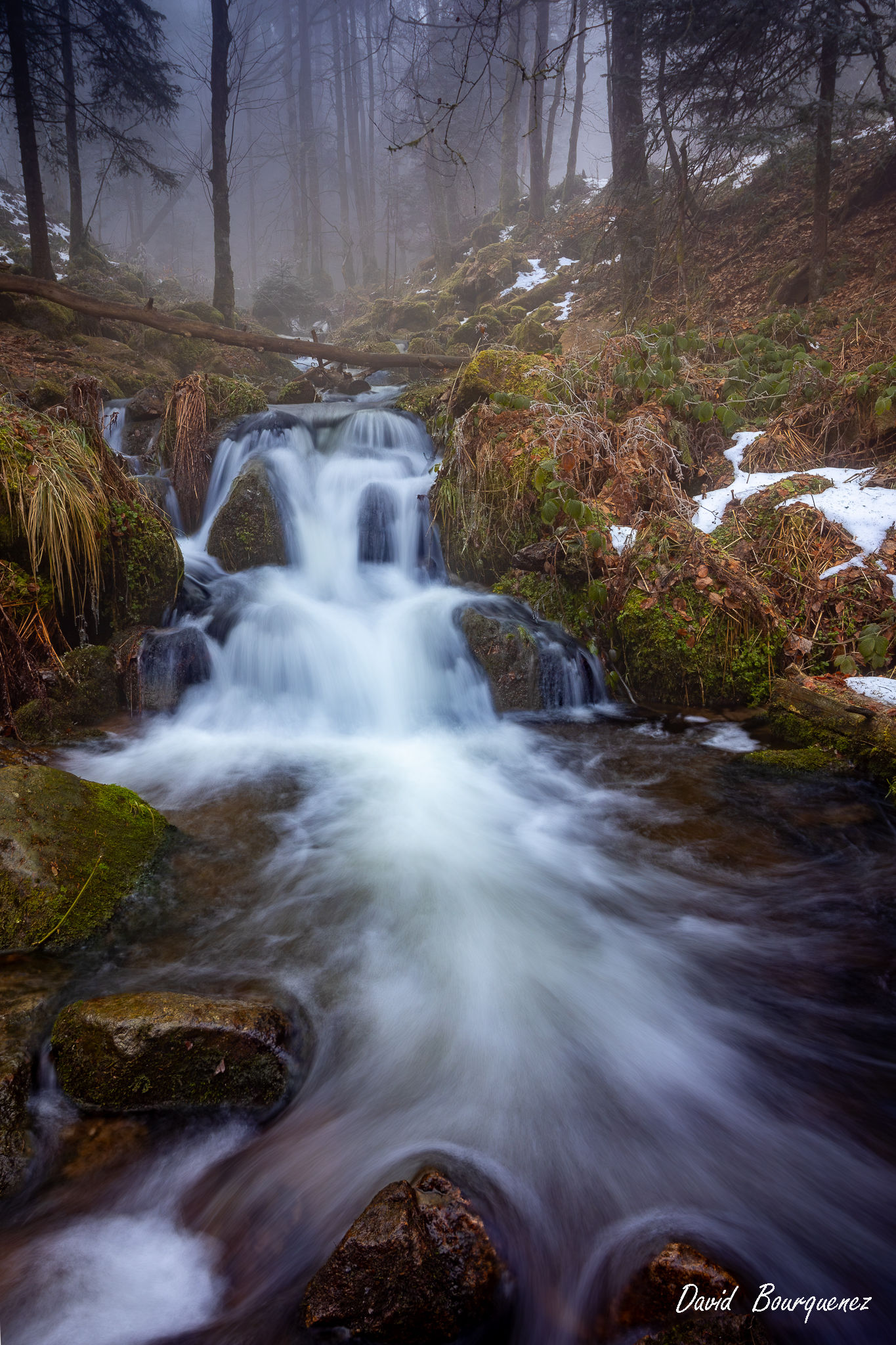 Ruisseau cascade en forêt brumeuse, pose longue eau vive et neige, art mural paysage mystique sous-bois.