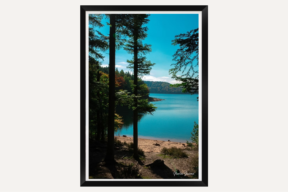Miniature : Photographie paysage lac de Pierre-Percée à travers les sapins, vue panoramique eau turquoise et forêt, art mural nature