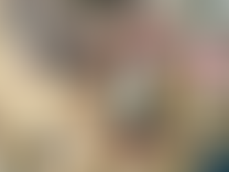 Book Review: The Wife Upstairs by Freida McFadden