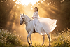 Wink_wax_Woman_in_flowing_gown_riding_a_white_horse_in_golden_light_creat_50337265-a23d-4a