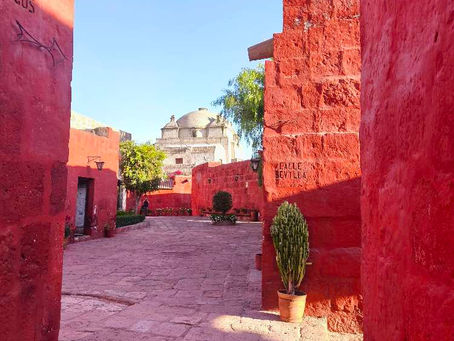 🇵🇪 Arequipa - Monastère et vicuña