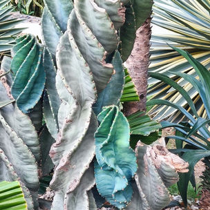 🇨🇴 Santa Marta