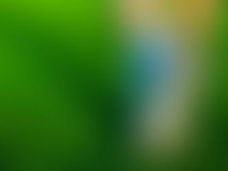 Before There Were Shoes