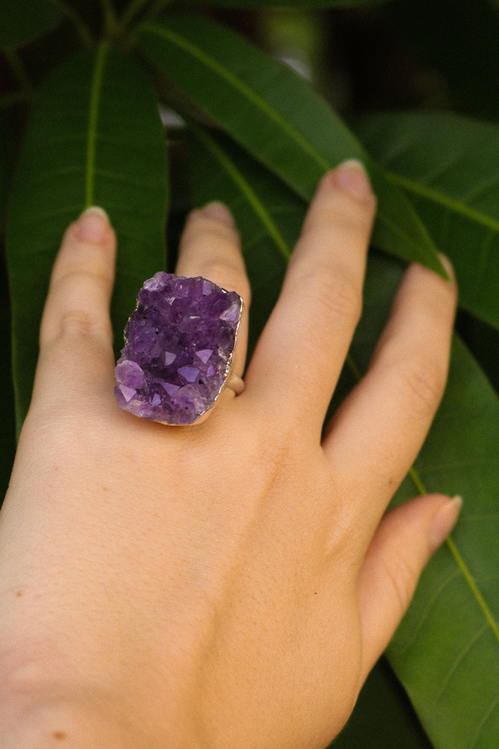 Anel Halo Drusa de Ametista 