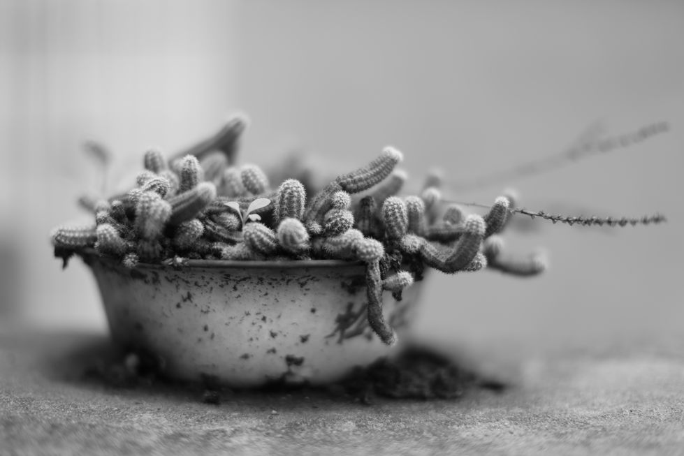 portraits 03 : 肖像03