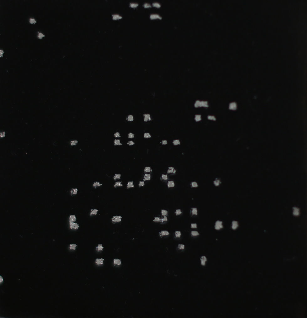 Perspective-S : 视角-S