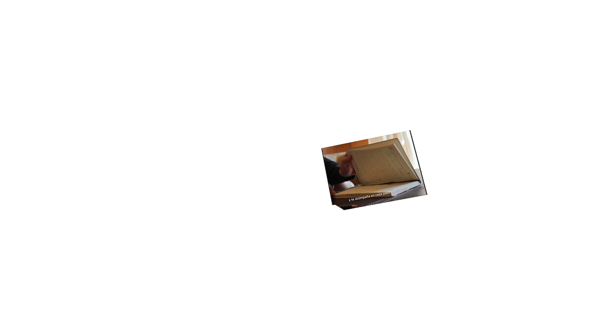 Secuencia 02.gif