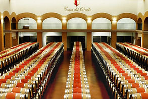 Cata de vinos.jpg