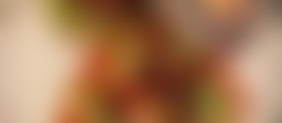 🦁 假裝飛了 | 特色比利時菜