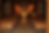 IMG_6333_1_1.png