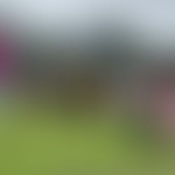 WELCOME TO OUR WEBSITE !